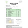 CBD kapljice 10% CBD 10 ml - arganovo olje