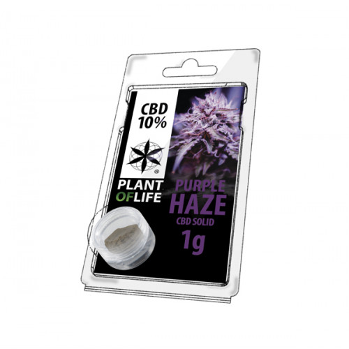 CBD hash 10 %, 1 g – Purple Haze
