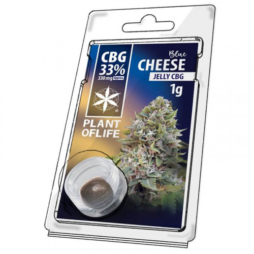 CBG konopljina smola 33% - Blue Cheese