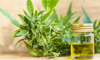 CBD in fibromialgija