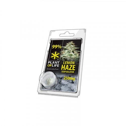 Terpsolator 99% CBD, 250mg - Lemon Haze