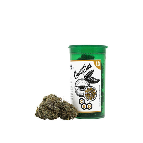 CBD vršički Clementine, 1,5 g, 12 % CBD (Indoor)