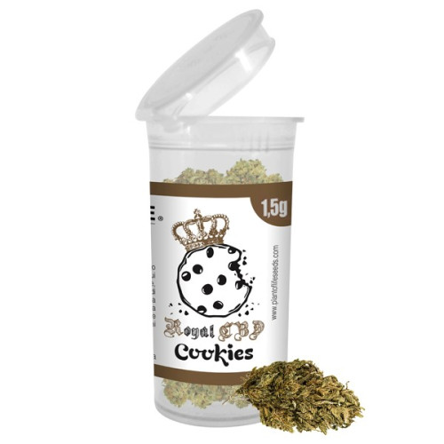 CBD vršički Royal Cookies 1,5 g,  12 % CBD (Indoor)