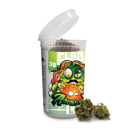 CBD vršički Amnesia 3g, 13 % CBD (Indoor) 