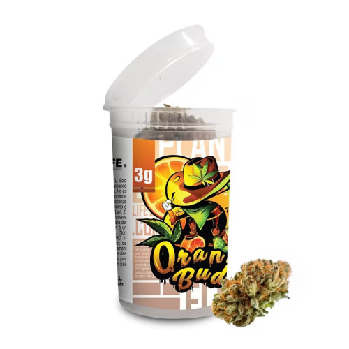 CBD vršički Orange Bud 3g, 11 % CBD (Indoor) 