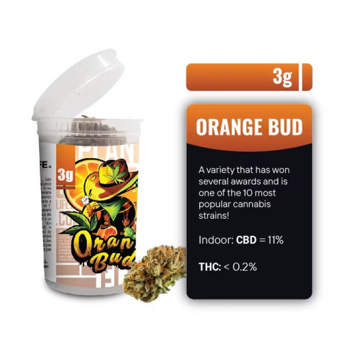 CBD vršički Orange Bud 3g, 11 % CBD (Indoor) 