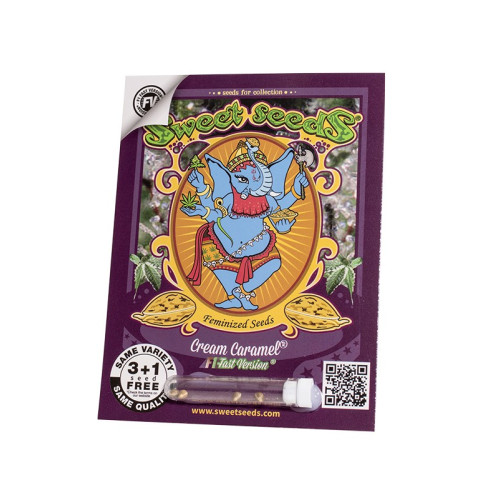 Cream Caramel F1 Fast Version (3 semena + 1 gratis), Sweet Seeds