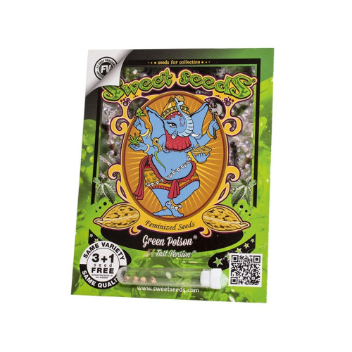 Green Poison F1 Fast Version (3 semena + 1 gratis), Sweet Seeds