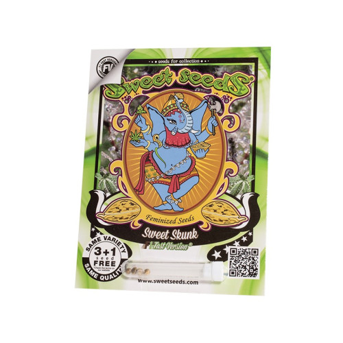 Sweet Skunk F1 Fast Version (3 semena + 1 gratis), Sweet Seeds
