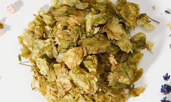 Uparjanje konoplje in zelišč – idealne temperature