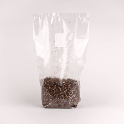 Steriliziran substrat v vrečki, 1300 g