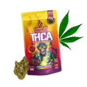 THCA vršički Atomic Monkey, 1 g