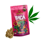 THCA vršički Jungle Monkey, 1 g