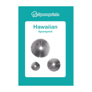 Čudežne gobe – Hawaiian spore