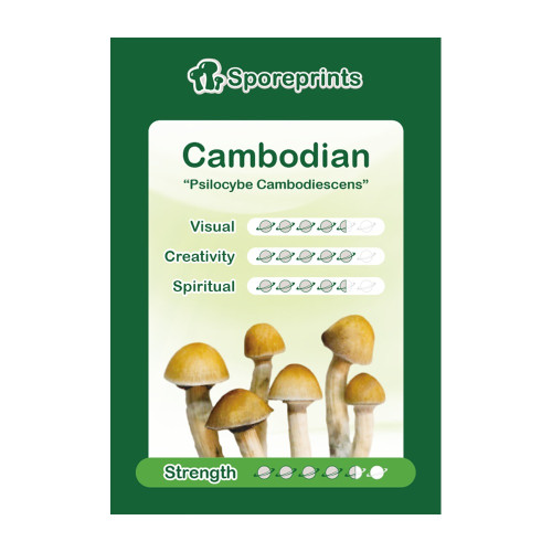 Čudežne gobe – Cambodian spore