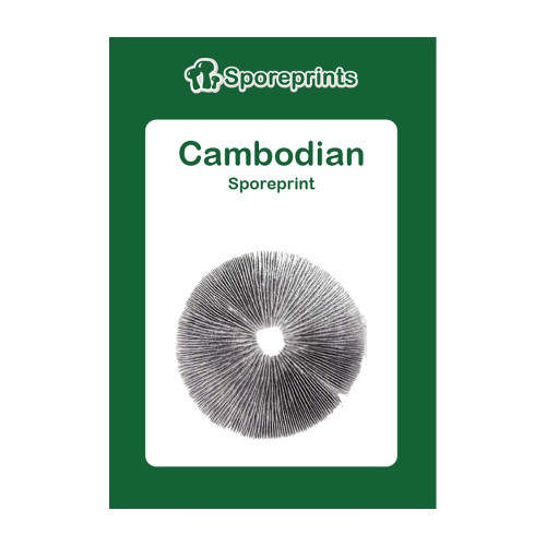 Čudežne gobe – Cambodian spore