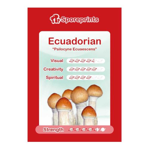Čudežne gobe – Ecuadorian spore