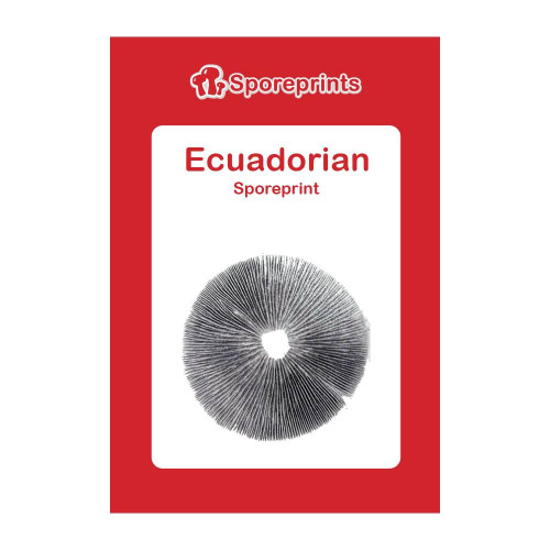 Čudežne gobe – Ecuadorian spore