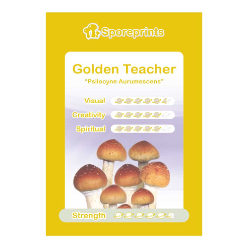 Čudežne gobe – Golden Teacher spore