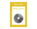 Čudežne gobe – Golden Teacher spore