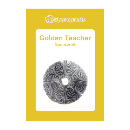 Čudežne gobe – Golden Teacher spore