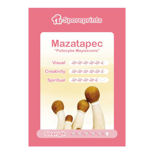 Čudežne gobe – Mazatapec spore