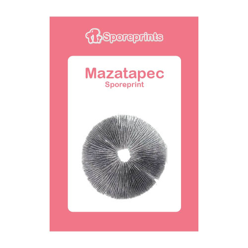 Čudežne gobe – Mazatapec spore
