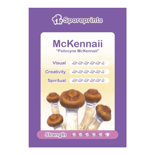 Čudežne gobe – McKennaii spore