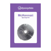 Čudežne gobe – McKennaii spore