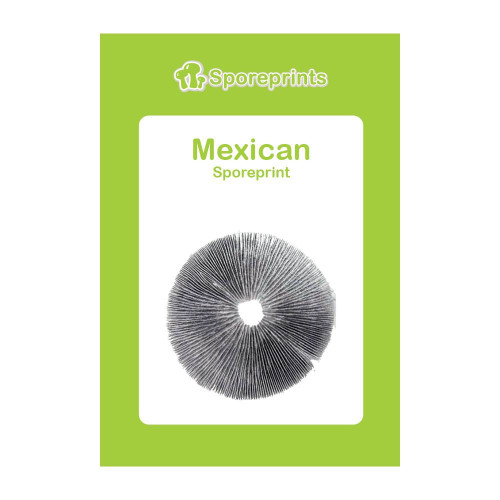 Čudežne gobe – Mexican spore