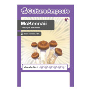 Magic Mushrooms, McKennaii tekoča kultura