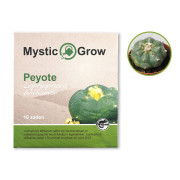 Pejotl (Lophophora Williamsii), 10 semen, McMystic
