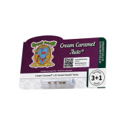 Cream Caramel Auto (3 semena + 1 gratis), Sweet Seeds