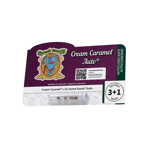 Cream Caramel Auto (3 semena + 1 gratis), Sweet Seeds