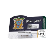 Black Jack (3 semena + 1 gratis), Sweet Seeds