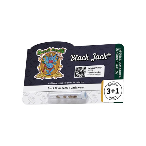 Black Jack (3 semena + 1 gratis), Sweet Seeds