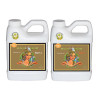 Gnojilo Advanced Nutrients Sensi Grow Coco, A in B del, 2 x 1 l – za rast