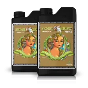 Gnojilo Advanced Nutrients Sensi Grow Coco, A in B del, 2 x 1 l – za rast