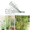 Oporne palice za rastline, 60 cm