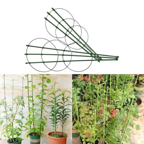 Oporne palice za rastline, 60 cm