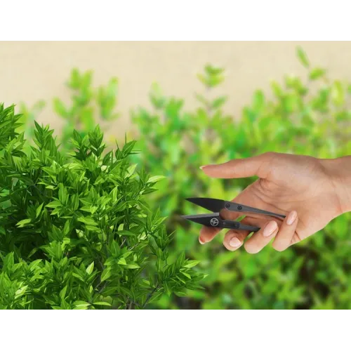 Škarje za obrezovanje rastlin Herbgarden, majhne