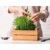 Škarje za obrezovanje rastlin Herbgarden, zelene