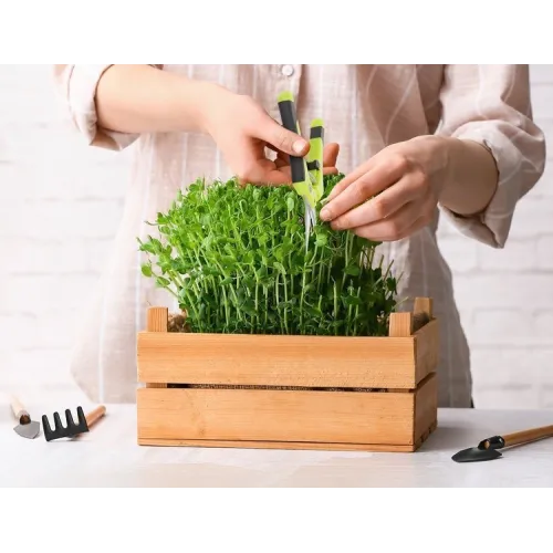 Škarje za obrezovanje rastlin Herbgarden, zelene
