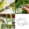 Sponke za rastline Herbgarden, 50 kosov