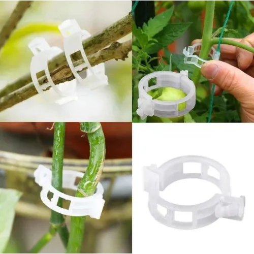 Sponke za rastline Herbgarden, 50 kosov