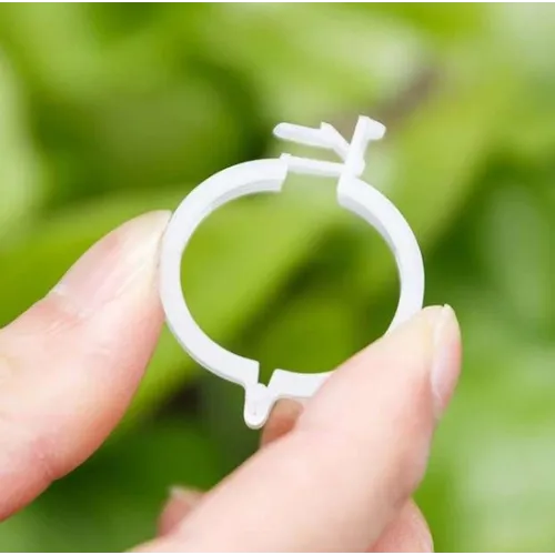 Sponke za rastline Herbgarden, 50 kosov