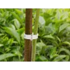 Sponke za rastline Herbgarden, 50 kosov