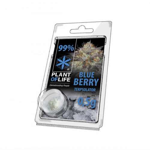 Terpsolator 99% CBD, 500mg - Blueberry